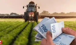 Çiftçiye yeni destek paketi: Dekar ve hayvan başına ödenecek rakamlar değişti