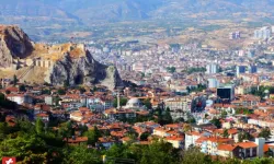 Tokat’ta Piknik Yaparken Dikkatli Olun! Bu Aylarda Daha Fazla Görülüyor!