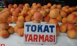 Tokat yarmasında plakayı yakaladık