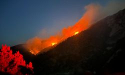 GÜNCELLEME - Çorum'da çıkan orman yangınında yaklaşık 30 hektar alan zarar gördü