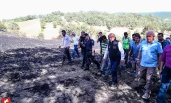 Tokat'ta anız yangını çiftçinin emeğini kül etti