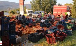 Tokat'ta Şeftaliler Yola Saçıldı, Trafik Durdu