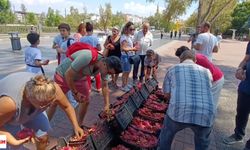 Çiftçinin Durumu Değişmiyor: Tokat'ta Aynı, Antalya'da Aynı Manzara...