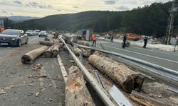 Kastamonu'da devrilen tomruk yüklü tırın sürücüsü yaralandı