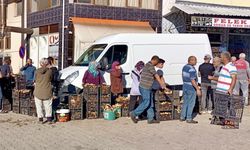 Sinop'ta ormanlarda doğal yetişen mantarların toplanmasına başlandı