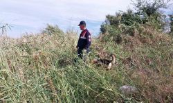 Günlerdir aranıyordu, cansız bedeni yol kenarında bulundu