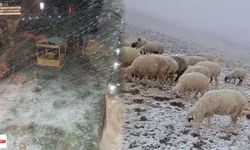 Tokat’a Kar Erken Geldi: Sonbaharda Kar Yağışı!