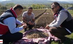 Doğada toplanması yasak! Endemik bu türün üretimi artıyor..