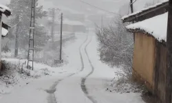 Pazaryeri'nde kar yağışı başladı