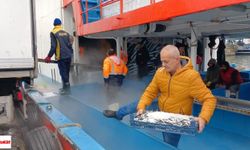 Karadeniz'den tonlarca çıktı:Bakın Fiyatı Tezgaha Nasıl Yansıdı