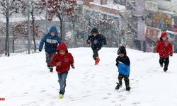 Tokat’ta Eğitime Kar Tatili: 26 Kasım’da Tüm Okullar Kapalı