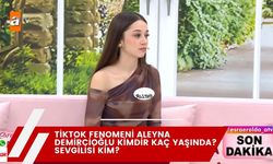 TikTok Fenomeni Aleyna Demircioğlu kimdir kaç yaşında? Sevgilisi kim?