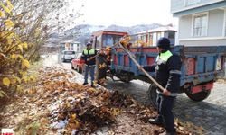 Tokat’ta gazeller ekonomiye dönüşecek