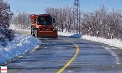 Tokat'ta Ulaşımda Aksamaya Karşı Tuzlama!