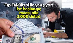 Tıp Fakültesi ile yarışıyor: İşe başlangıç maaşı bile 3.000 dolar!