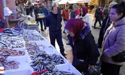 Karadeniz’de mezgit ve istavrit bolluğu