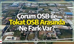 Çorum OSB ile Tokat OSB Arasında Ne Fark Var?