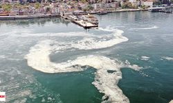 Marmara Denizi'nde kirlilik ve oksijen azlığı müsilaja neden oldu