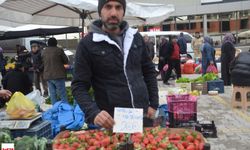 Niksar'da Çocuklara Karne Hediyesi 2 Kasa Çilek Dağıtıldı