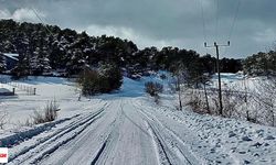 Tokat'ın Çamiçi Yaylası kışa beyaz örtüyle 'merhaba' dedi: Kar manzaraları büyülüyor!