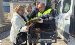 Kandilde Mezarlık Ziyaret Edenlere Çiçek Dağıtıldı