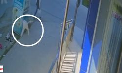Feci Olay: 1 Yaşındaki Bebek 5. Kattan Beton Zemine Düştü