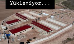 Tokat’ta Sokak Hayvanları İçin Dev Adım: Çamlıbel Bakımevi Havadan Görüntülendi