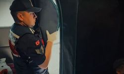 Gardırob Sandılar Sera Çıktı!