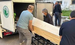 Kene Yine Can Aldı: Ölü Sayısı 4'e Çıktı!