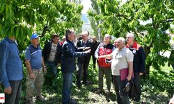 Tokat Akyamaç köyünde zirai don mesaisi