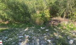 Elektrikle Balık Avı Ölümle Bitti: Genç Hayatını Kaybetti