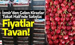 Bu sene kirazlar Tokat'ın değil İzmir'in Kemalpaşa'sından!
