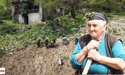 Sırtlarında Sepet, Ellerinde Kazma: Karadeniz’de Hayat Yeniden Toprakta Canlanıyor