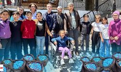 Emirseyitli Öğrenciler 117 kg Kapak Topladı: Arkadaşları için Tekerlekli Sandalye Kazandı!