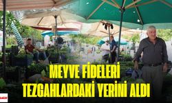 Erbaa’da Organik Fideler Pazara Çıktı: Yükselen Maliyetler Üreticiyi Zorluyor