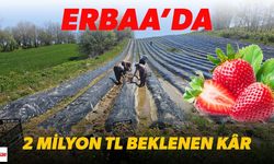 Erbaa’ya Çilek Gibi Tatlı Müjde: 2 Milyon TL Kâr Elde Edilecek!