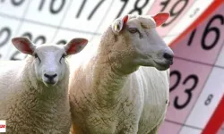 Kurban Bayramı Tatili Kapıda: 9 Günlük Müjde