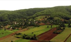 Tokat'ın Harikalar Diyarındaki Köyü Ormanların İçinde Gizli Cenneti Bereketli Toprakların Yukarısında Kimseler Bilmiyor