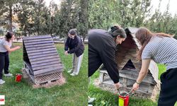 Niksar Yurdu'ndan Minik Dostlara Sıcacık Yuvalar!