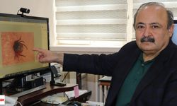 Uyarılar Peş Peşe Geliyor! "Yanlış Müdahaleler de Öldürüyor"