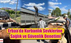 Erbaa’dan Türkiye’ye Güvenli Kurbanlık Sevkiyatı: Denetimler Sıkılaştırıldı