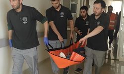 Niksar Devlet Hastanesi Tam Saha İleri! Acil Durumlara "Tam Not" Hazırlık!