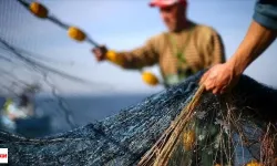 Balık Değil Servet Denizde Yakalayanlara Maaş Gibi Ödeme Yapılacak