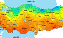 Tokatlılar Dikkat! Evde, Sokakta, İş Yerinde: Her Yerdeler! Ya Öldürüyor Ya da...