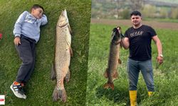 Tokatlı14 kiloluk turnayı bebek gibi kucağında salladı