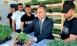 Tokat'ta Tarıma Dev Yatırım: 1 Milyon Fide Dağıtılacak
