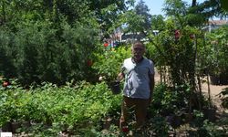 Tokat'ın En Yeşil Esnafı 40 Yıldır Doğaya Nefes Oluyor Yıllara Tecrübesiyle Meydan Okuyor
