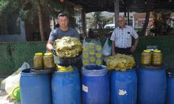 Niksar'da Bayram Bereketinin Adı: Yaprak! Kilosu 300, 5 Kiloluk Bidon 1500 TL