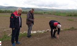 Tokat'ta Dolu Zararı Sahada İnceleniyor