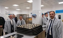 Yerli Otomobil "Günsel"in Sahibi Tokat'ta